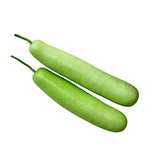 Lauki pur et frais, courge tendre, légume de ferme, pour la vente en gros, la restauration et la cuisine, neuf - Product Image 1