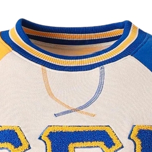 Sudadera de Felpa con Bolsillo y Cuello Redondo Sigma Gamma Rho, Bordado Personalizado con Letras Griegas, Sudadera Informal Unisex - Product Image 4