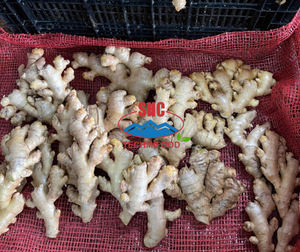 Jengibre Fresco Lavado de Alta Calidad de Vietnam, Exportador Confiable para Compradores Internacionales, Suministro de Contenedor Completo - Product Image 1