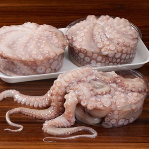 Pulpo Bebé Congelado de Primera Calidad, Suministro al por Mayor, Grado Alimenticio, Listo para Enviar, Exportación de Mariscos de Alta Calidad - Product Image 3
