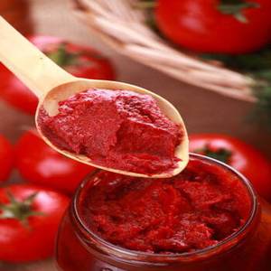 Pasta de Tomate India para Mercados de Exportación con Aplicaciones Versátiles en Ketchup, Chutney, Salsas de Cocina y Alimentos Procesados - Product Image 1