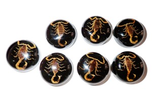 Escorpión Dorado, Espécimen Real, Cabujón de Plástico Redondo de 25x25 mm, Base Plana Negra para Manualidades y Joyería - Product Image 3
