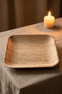 Assiettes carrées jetables en bambou naturel de 10 pouces, paquet de 50, compostables, écologiques, compatibles micro-ondes, pour dîner et collations, pour hôtels - Product Image 1