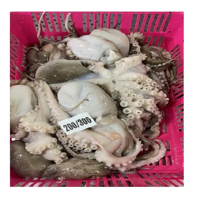 Hochwertiger Block gefrorener Octopus ganzer langer Arm aus Indien, gefrorener Tintenfisch zum Verkauf
