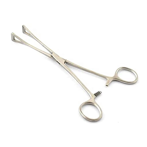คีมจับเนื้อเยื่อและอวัยวะพรีเมียม คอลลิน ขนาด 20 ซม. 23 ซม. ทำจากสแตนเลสสตีล สำหรับการผ่าตัด สัตวแพทย์ และการแพทย์ ได้รับมาตรฐาน CE ISO - Product Image 3