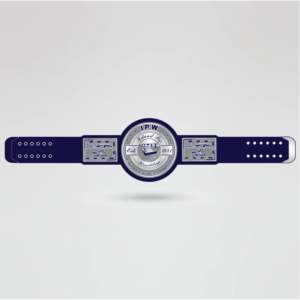 Ceinture de championnat de lutte personnalisée à quatre côtés en laiton et zinc avec plaque centrale dorée, sangle marine et gravure personnalisée - Product Image 2