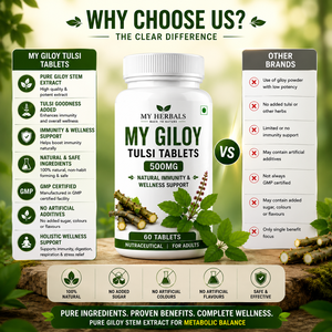 Tabletas My Giloy Tulsi con Extractos Herbales Ayurvédicos Naturales para Reforzar la Inmunidad, Apoyo a la Desintoxicación, Bienestar Respiratorio y Antioxidante - Product Image 4