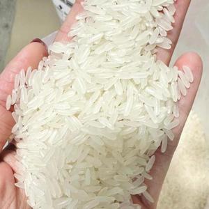 Riz Basmati Brun Long Grain de Haute Qualité 5% de Riz Blanc Cassé Riz Jasmin - Aliment Séché Disponible en Gros et en Stock - Product Image 4