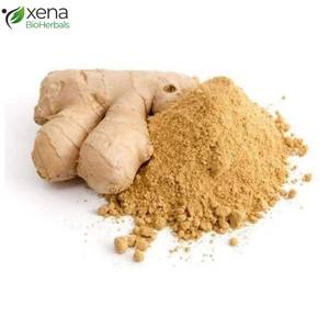 Proveedor de Extracto Soluble de Aceite de Jengibre, Ingrediente Botánico Natural para Aplicaciones Cosméticas - Product Image 1