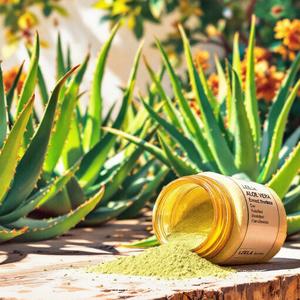 Extracto de Aloe Vera en Polvo (Aloe barbadensis) Suministro del Fabricante – Polvo de Aloe Vera 100% Puro a un Precio Razonable - Product Image 2