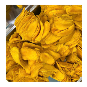 Mango Deshidratado en Paquete a Granel para Importadores, Suministro de Alta Capacidad, 99 Gold Data, Fabricación en Vietnam - Product Image 2