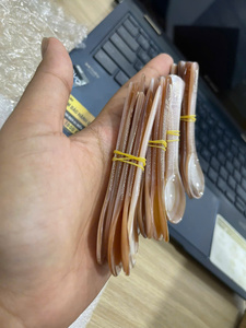 ช้อนเปลือกหอยธรรมชาติสุดหรู |   อุปกรณ์เสิร์ฟทำมือจากเปลือกหอยมุกสำหรับร้านอาหาร คาเฟ่ และบ้าน - Product Image 1
