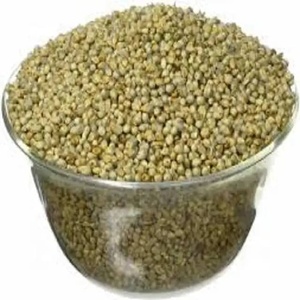 Yellow Glutinous Broomcorn Sticky <b>Millet</b> 100% Natural Organic Fresh Brazilian Floured Bird Seeds Freshly Cultivated - Product Image 5