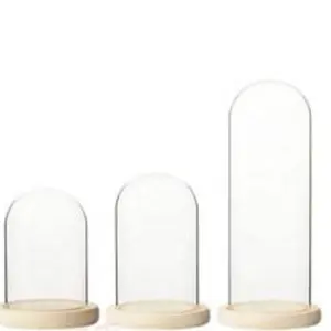 Campana de Cristal Transparente con Base de Madera Blanca para Exhibición de Flores, Estilo Europeo para Bodas - Product Image 1