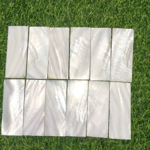 Escamas Cuadradas de Nácar Natural - Azulejos de Nácar Genuinos para la Fabricación de Joyas (10x10mm-50x50mm) - Product Image 1