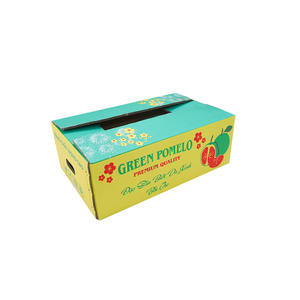 Exportación de Pomelo de Alta Calidad para Uso Comercial en la UE, Materiales Reciclados Ecológicos, Fabricante Vietnamita de Cajas de Papel Personalizadas OEM ODM - Product Image 1