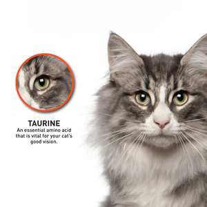 Prodiet Cao Cấp Ướt Thức Ăn Cho Mèo 85G Pouch Giàu Cá Ngừ Flavour Protein Cao Cấp Chất Dinh Dưỡng Cần Yếu Cho Người Lớn Mèo Da Áo Sức Khỏe - Product Image 4