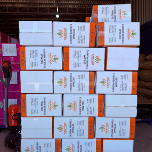 Hot Sale Raw Cashew Nuts Cashew Nuts WW180, WW240, WW320, LP, WS Bulk Cashew Nuts Reasonable Price - Product Image 6