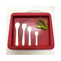Vente en gros de cuillères en nacre écologiques non toxiques HUONG DANG, logo personnalisé, matériau en coquillage, cadeaux d'affaires, utilisation en restaurant
