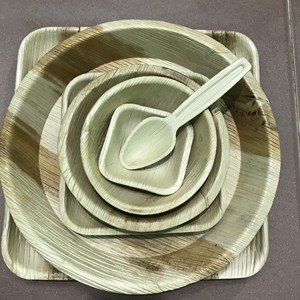 [MEILLEURES VENTES] |   Assiettes jetables biodégradables en feuilles de palmier de 10 pouces, lot de 50, pour camping, fête, Vietnam - Product Image 5