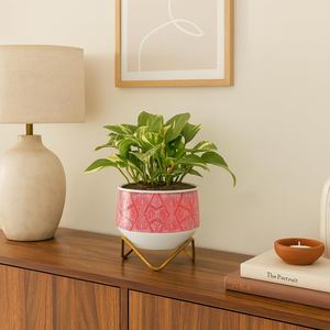 Maceta Metálica Mini con Acabado Caramelo, Diseño Elegante y Moderno para Plantas Suculentas - Product Image 3