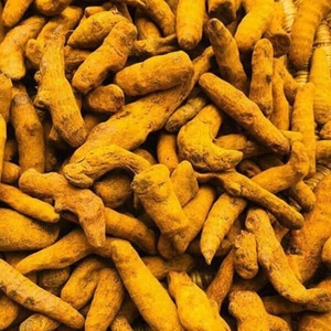 Doigts de curcuma naturels de qualité supérieure, séchés, aux couleurs riches et à l'arôme intense, Curcumine 4,5-5,5% pour l'exportation mondiale en vrac - Product Image 1
