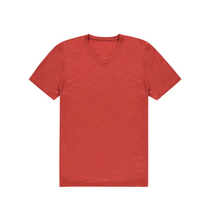Camiseta Deportiva de Algodón para Hombre, Absorbente de Humedad, Manga Corta, Ropa Deportiva Activa, Fabricante OEM ODM - Product Image 4