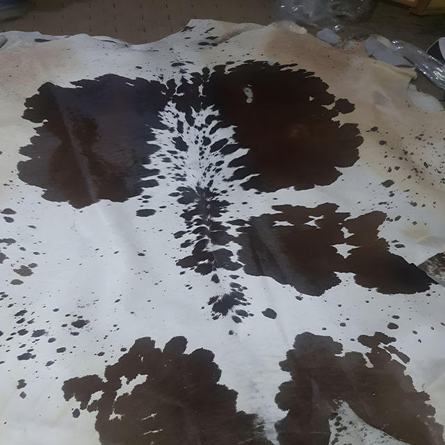 Black and White Spotted