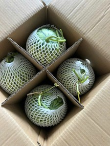 Sandía sin Semillas de Alta Calidad – Fresca de Granja Vietnamita, Dulce y Jugosa, Ideal para Compradores Mayoristas - Product Image 6