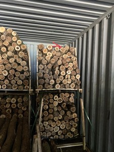 Estacas de Madera de Eucalipto Duraderas a Precio Económico, Postes de Madera Dura para Soporte de Plantas, para Jardín, Árboles, Enredaderas y Uso en Paisajismo - Product Image 6