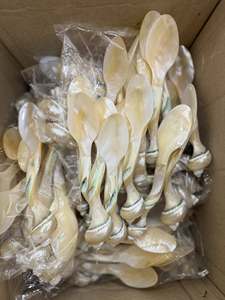 Cuillères en nacre blanche pour caviar et desserts, vente en gros, petites cuillères à soupe, logo personnalisé acceptable - Product Image 4