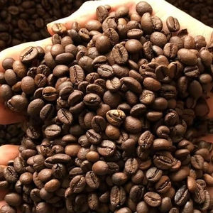 Café Robusta Bio Torréfié et Moulu de Haute Qualité du Vietnam, Grains Propres, 0,1% de Grains Noirs Cassés, Certifié USDA ISO 22000, TNFOOD AA+, Vrac - Product Image 1