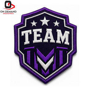 Parches bordados con logotipo personalizado del equipo, con reverso termoadhesivo, servicio OEM de alta calidad, parches tejidos para ropa - Product Image 1