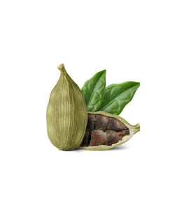 Cardamomo Verde de Alto Aroma, en Cápsulas de 6-7mm, Tamaño Pequeño, Especia Entera Natural, Proveedor Premium - Product Image 1