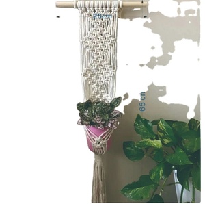ที่แขวนต้นไม้ในร่มสำหรับตกแต่งผนังและหน้าต่าง - Product Image 1
