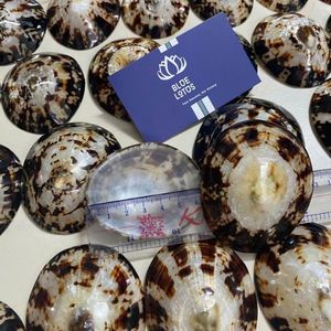 Conchas de limpias azules trituradas ecológicas, muy vendidas, material a granel para la creación de arte y manualidades con resina - Product Image 2