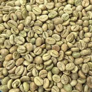 Grado 1, Café Robusta Vietnamita al por Mayor, Granos de Café Naturales en Bolsas a Granel, Estándar de Exportación, Baja Tasa de Defectos, Precio de Fábrica - Product Image 1