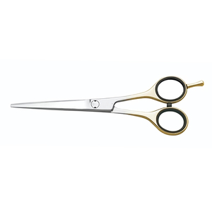 Ciseaux de coiffeur professionnels couleur argent avec manche doré, lames en acier inoxydable ultra-affûtées pour la coupe de cheveux en salon - Product Image 2