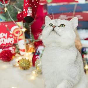 Factory Wholesale Men's Casual Woven Spandex/Nylon High Quality <b>Breathable</b> No Show Snagging Resistance Athletic <b>Socks</b> for Sale - Product Image 2