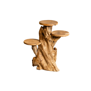 ARTERRA Support de Présentation en Bois Massif Artisanal Rustique en Racine de Teck Bio de Luxe pour Décoration Intérieure/Extérieure - Idéal Diwali - Product Image 1