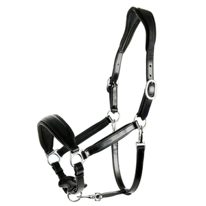Dernier design, prix abordable : Harnais d'équitation pour l'entraînement / Meilleurs harnais de cheval réglables avec sangle de nez, faible MOQ - Product Image 1