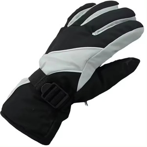 Gants de ski d'hiver de haute qualité, durables, à prix avantageux, chauds, coupe-vent, imperméables pour hommes, gants de ski de qualité supérieure - Product Image 1
