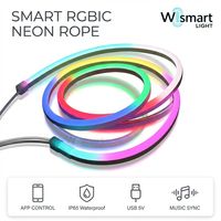 Tira de Luces LED Inteligentes RGBIC WS2812B de 5V USB, Luces de Neón a Prueba de Agua con Control Remoto por Aplicación, Color de Ensueño, Decoración para Sala de Juegos