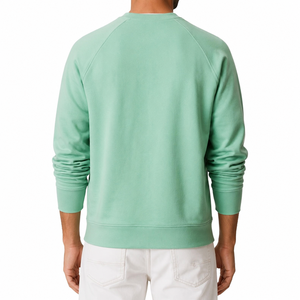 Sweat-shirt à capuche en molleton 100 % coton de haute qualité pour homme, essentiels du printemps, style streetwear, service OEM, faible MOQ - Product Image 4