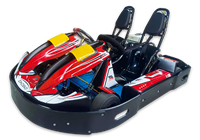 Karts comerciales - ideales para parques de atracciones. Aptos tanto para interiores como para exteriores.