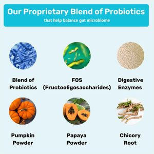 Suplemento Masticable Probiótico OEM/ODM para Perros, 6 Cepas de Lactobacillus y Prebióticos para Aliviar la Diarrea y Mejorar la Piel y el Pelaje - Product Image 5