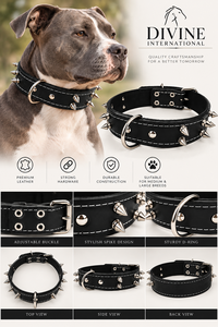 Fábrica OEM ODM de Collares de Cuero Personalizados para Perros de Divine International para Marcas de Mascotas y Distribuidores Globales - Product Image 4