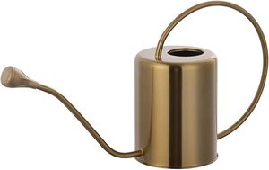 Arrosoir en métal au design tendance et élégant avec finition rustique pour l'arrangement décoratif de plantes d'intérieur - Product Image 4