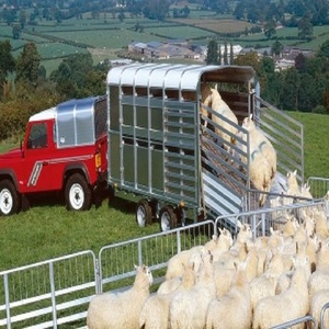 Camion de transport de bétail haute capacité, conçu pour les exploitations agricoles commerciales, avec des essieux robustes, une enceinte sécurisée et un transport fluide - Product Image 2