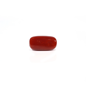 Natural Red Coral Loose Gemstone 4.56 Carat Certified Wholesale Raw - Product Image 2